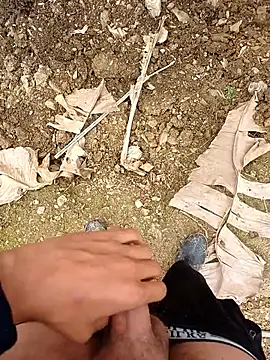 Snapshot of Sikici0734 chatting on April 1, 2026, 11:33 am Sikici0734 online show from April 1, 2026, 11:33 am