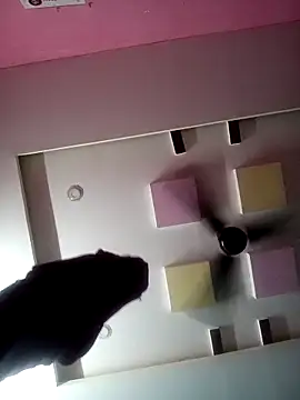 supcpl online show from February 1, 2026, 6:06 pm