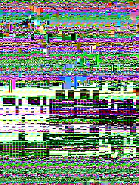 Snapshot of Rose_monroee chatting on November 13, 2025, 7:40 pm Rose monroee online show from November 13, 2025, 7:40 pm