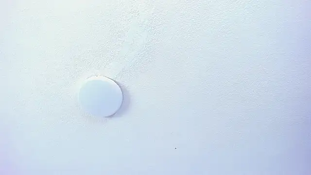 Snapshot of daenerysxxx chatting on October 29, 2025, 8:08 pm daenerysxxx online show from October 29, 2025, 8:08 pm