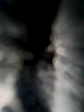 Neilhot98 online show from October 7, 2025, 5:14 pm