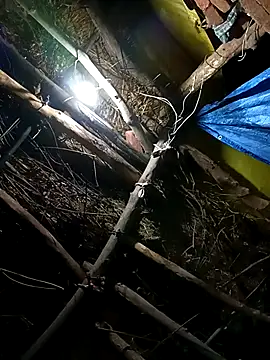 Janvi tv online show from November 2, 2025, 3:28 pm