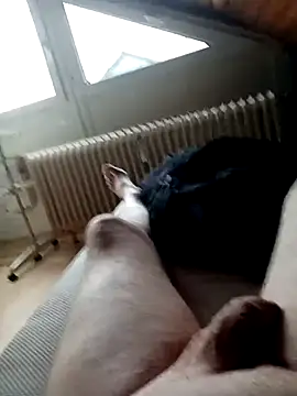 Snapshot of ImperlPerverso59 chatting on October 18, 2025, 11:56 am ImperlPerverso59 online show from October 18, 2025, 11:56 am