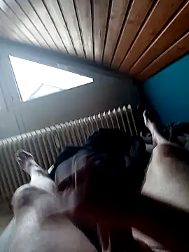 Snapshot of ImperlPerverso59 chatting on October 17, 2025, 7:44 am ImperlPerverso59 online show from October 17, 2025, 7:44 am