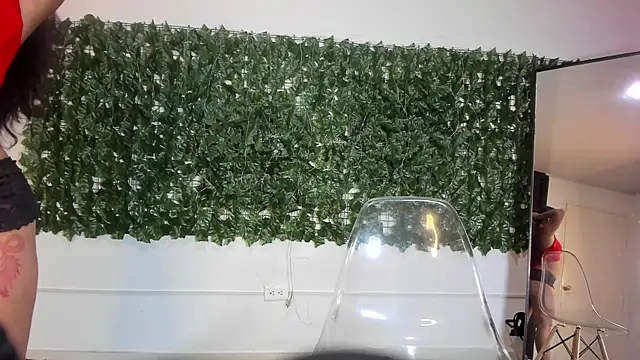 Amayavaldes online show from January 14, 2026, 12:53 pm