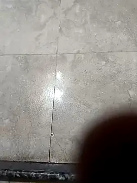 Snapshot of pn12345 chatting on October 17, 2025, 4:27 am pn12345 online show from October 17, 2025, 4:27 am