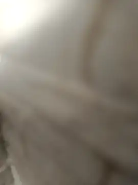 Snapshot of pn12345 chatting on December 4, 2025, 4:11 am pn12345 online show from December 4, 2025, 4:11 am