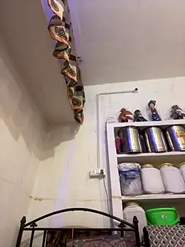 Snapshot of Sapnahot34 chatting on November 7, 2025, 3:33 am Sapnahot34 online show from November 7, 2025, 3:33 am