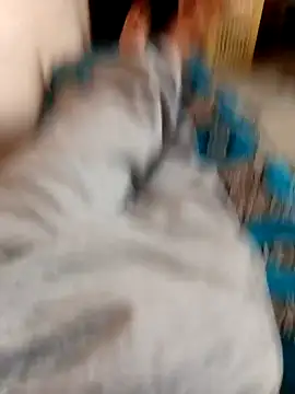 Snapshot of latarak321 chatting on October 12, 2025, 3:35 pm latarak321 online show from October 12, 2025, 3:35 pm