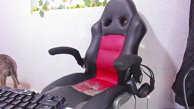 Snapshot of soffycarter1 chatting on November 25, 2025, 11:16 pm soffycarter1 online show from November 25, 2025, 11:16 pm