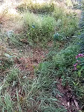 Snapshot of jerry-xx chatting on October 29, 2025, 12:53 am jerry-xx online show from October 29, 2025, 12:53 am