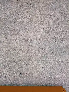 Ut kanchna online show from November 26, 2025, 12:43 am