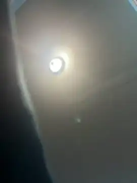 Snapshot of Steven-1989 chatting on November 30, 2025, 9:43 am Steven-1989 online show from November 30, 2025, 9:43 am