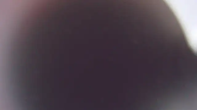 Snapshot of Stefano_Calle chatting on December 3, 2025, 11:42 am Stefano Calle online show from December 3, 2025, 11:42 am