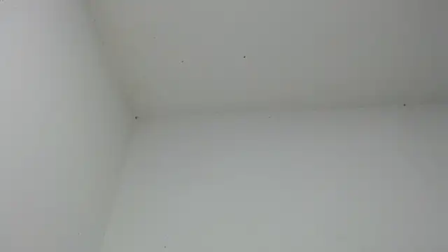 Snapshot of drako_monster chatting on December 18, 2025, 6:51 am drako monster online show from December 18, 2025, 6:51 am