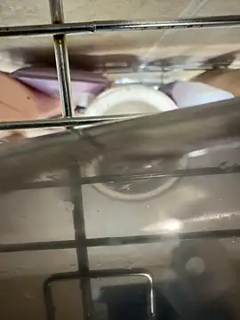 Beastyfuck online show from November 25, 2025, 5:08 am