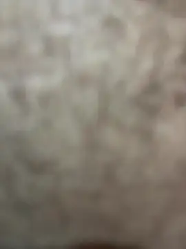 Snapshot of Telugu_dirty_talk_couple chatting on December 17, 2025, 1:21 am Telugu dirty talk couple online show from December 17, 2025, 1:21 am