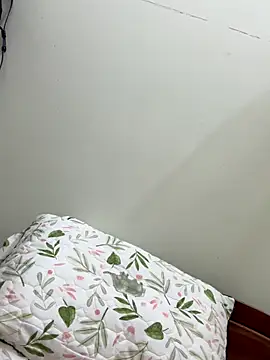 Snapshot of Ha_2660 chatting on October 22, 2025, 10:15 am Ha 2660 online show from October 22, 2025, 10:15 am