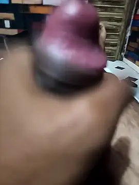 Snapshot of siddBus chatting on October 11, 2025, 1:45 pm siddBus online show from October 11, 2025, 1:45 pm