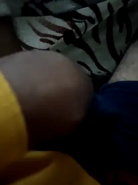 Snapshot of siddBus chatting on November 13, 2025, 4:55 pm siddBus online show from November 13, 2025, 4:55 pm