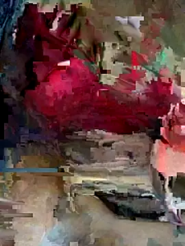 Snapshot of mamtasingh12 chatting on November 28, 2025, 12:27 pm mamtasingh12 online show from November 28, 2025, 12:27 pm