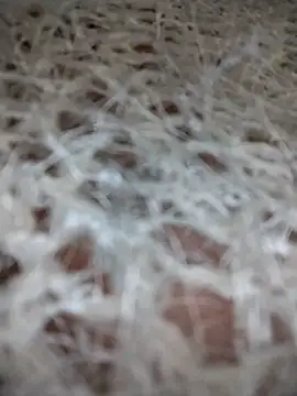 Snapshot of azul_vera chatting on December 1, 2025, 12:00 am azul vera online show from December 1, 2025, 12:00 am