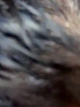 Swweet Miia1 online show from March 1, 2026, 3:06 am