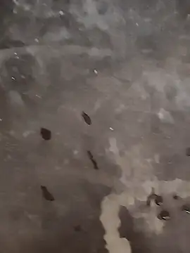 play boy-raj007 online show from October 15, 2025, 1:15 am