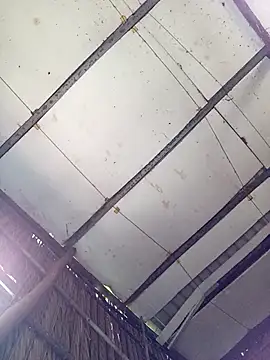 Cherry pusy99 online show from October 21, 2025, 3:39 am