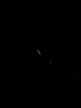 Pikachucums4u online show from November 28, 2025, 2:45 am