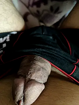 Samisamieden1 online show from March 29, 2026, 8:05 am