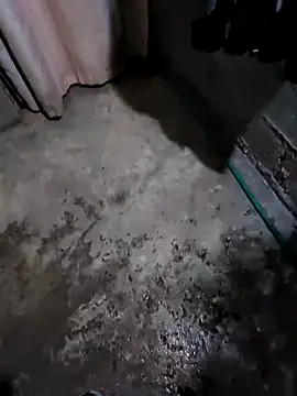 Senseimaster5 online show from October 28, 2025, 10:14 am