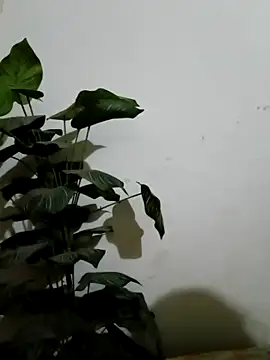 Jessica-03 online show from March 4, 2026, 4:59 pm