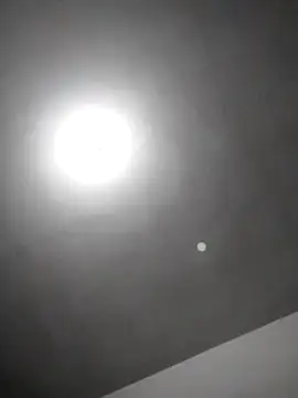 checheludo23 online show from February 25, 2026, 12:22 am