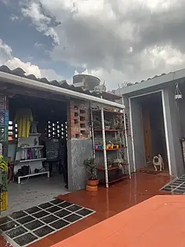 Snapshot of Leonardmoppet chatting on October 23, 2025, 5:55 pm Leonardmoppet online show from October 23, 2025, 5:55 pm