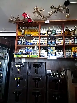 catalella16 online show from February 5, 2026, 4:47 pm