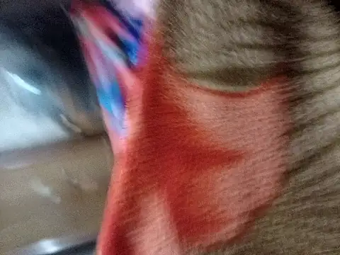 Soumyajit129ommk online show from March 7, 2026, 9:27 am