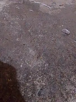 Snapshot of Orlao25cm chatting on November 16, 2025, 4:39 am Orlao25cm online show from November 16, 2025, 4:39 am