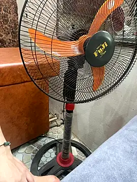 Snapshot of Phale2x chatting on December 3, 2025, 3:07 am Phale2x online show from December 3, 2025, 3:07 am