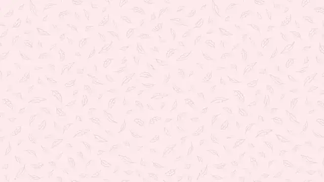 Snapshot of Nalan__ chatting on November 14, 2025, 6:06 am Nalan online show from November 14, 2025, 6:06 am