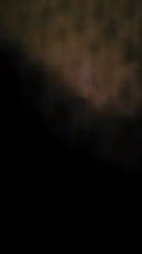 Sexecochon online show from April 2, 2026, 2:24 pm