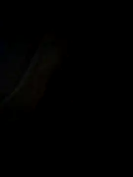 Cellar245 online show from November 30, 2025, 10:10 pm