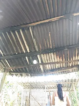 Snapshot of Squirrel-Pear chatting on November 20, 2025, 3:51 am Squirrel-Pear online show from November 20, 2025, 3:51 am