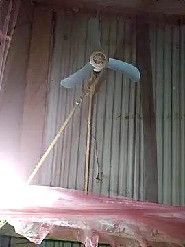 Snapshot of Squirrel-Pear chatting on December 4, 2025, 12:26 pm Squirrel-Pear online show from December 4, 2025, 12:26 pm