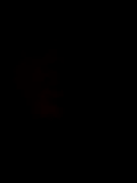 oraharoncohen online show from October 31, 2025, 11:11 pm