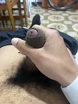 Anaconda Negra20 online show from November 15, 2025, 8:24 pm