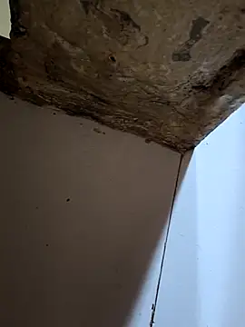 Snapshot of 67yoki chatting on November 15, 2025, 5:55 am 67yoki online show from November 15, 2025, 5:55 am