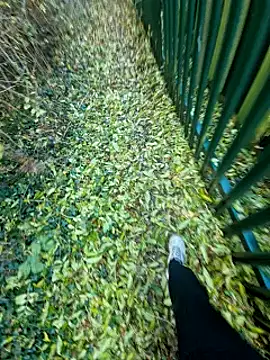 bbyxklaus online show from October 31, 2025, 3:19 pm