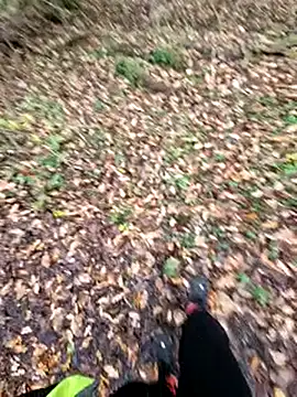 bbyxklaus online show from December 16, 2025, 2:10 pm