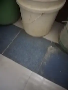 HeatableRevan online show from March 24, 2026, 12:21 am